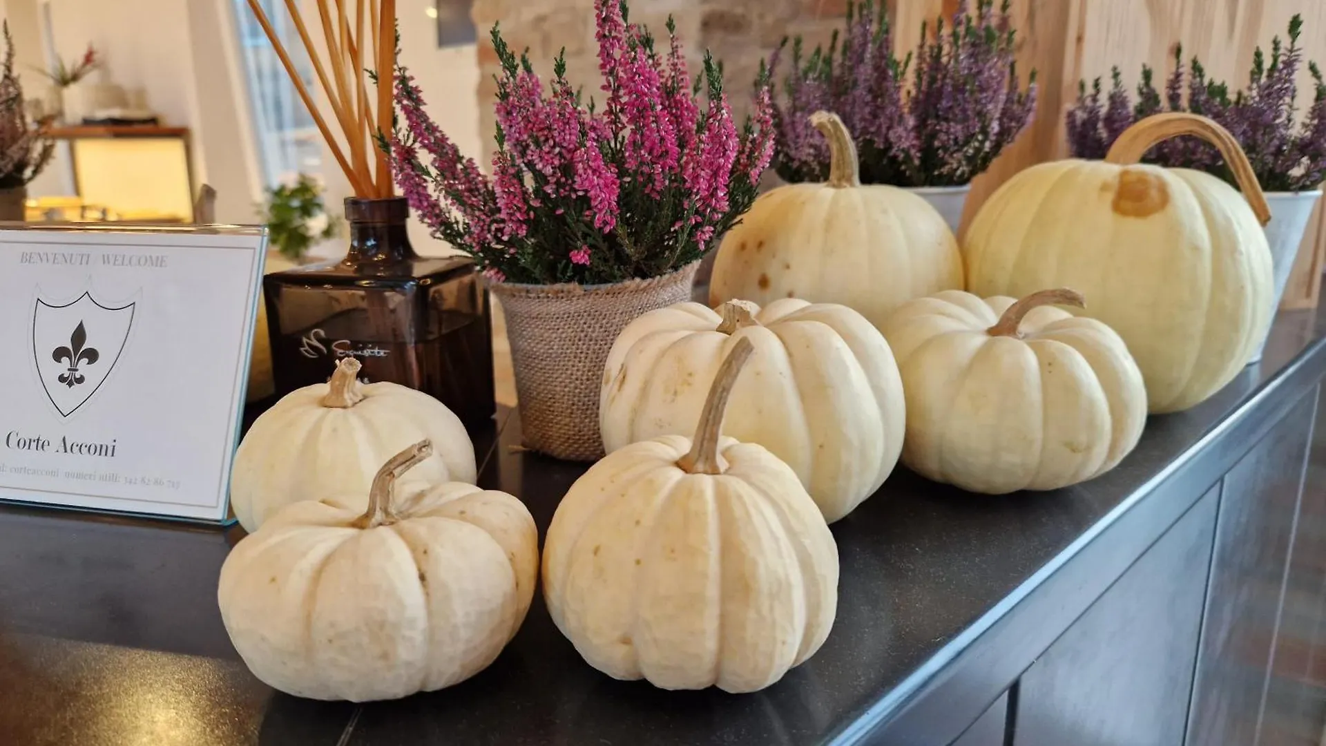 Alloggio per agriturismo Agriturismo Corte Acconi Mantova