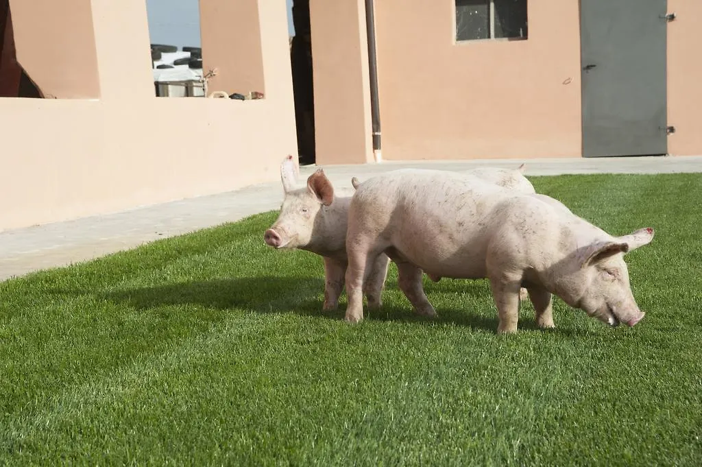 Agriturismo Corte Acconi Mantova
